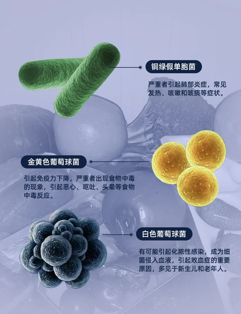 Refrigerator Deodorizing & Sterilizing Ozone Purifier
