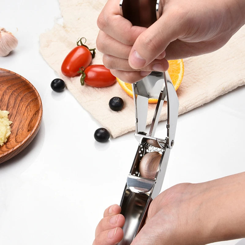 Stainless Steel Garlic Press Ginger Crusher