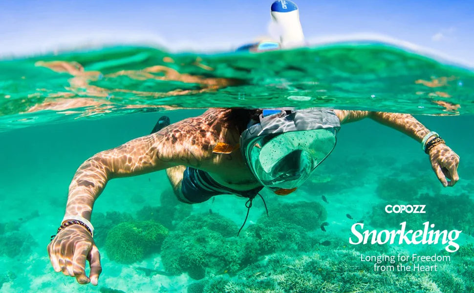 Professional Full Face Snorkeling Mask