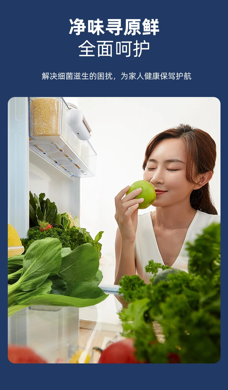 Refrigerator Deodorizing & Sterilizing Ozone Purifier