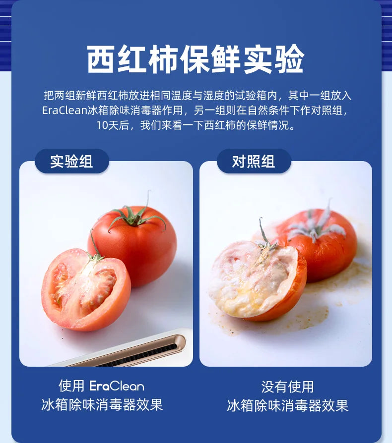 Refrigerator Deodorizing & Sterilizing Ozone Purifier
