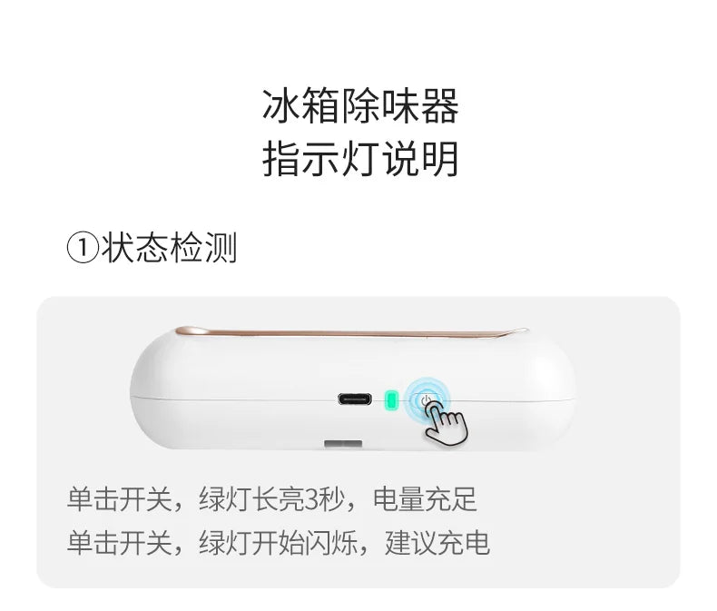 Refrigerator Deodorizing & Sterilizing Ozone Purifier
