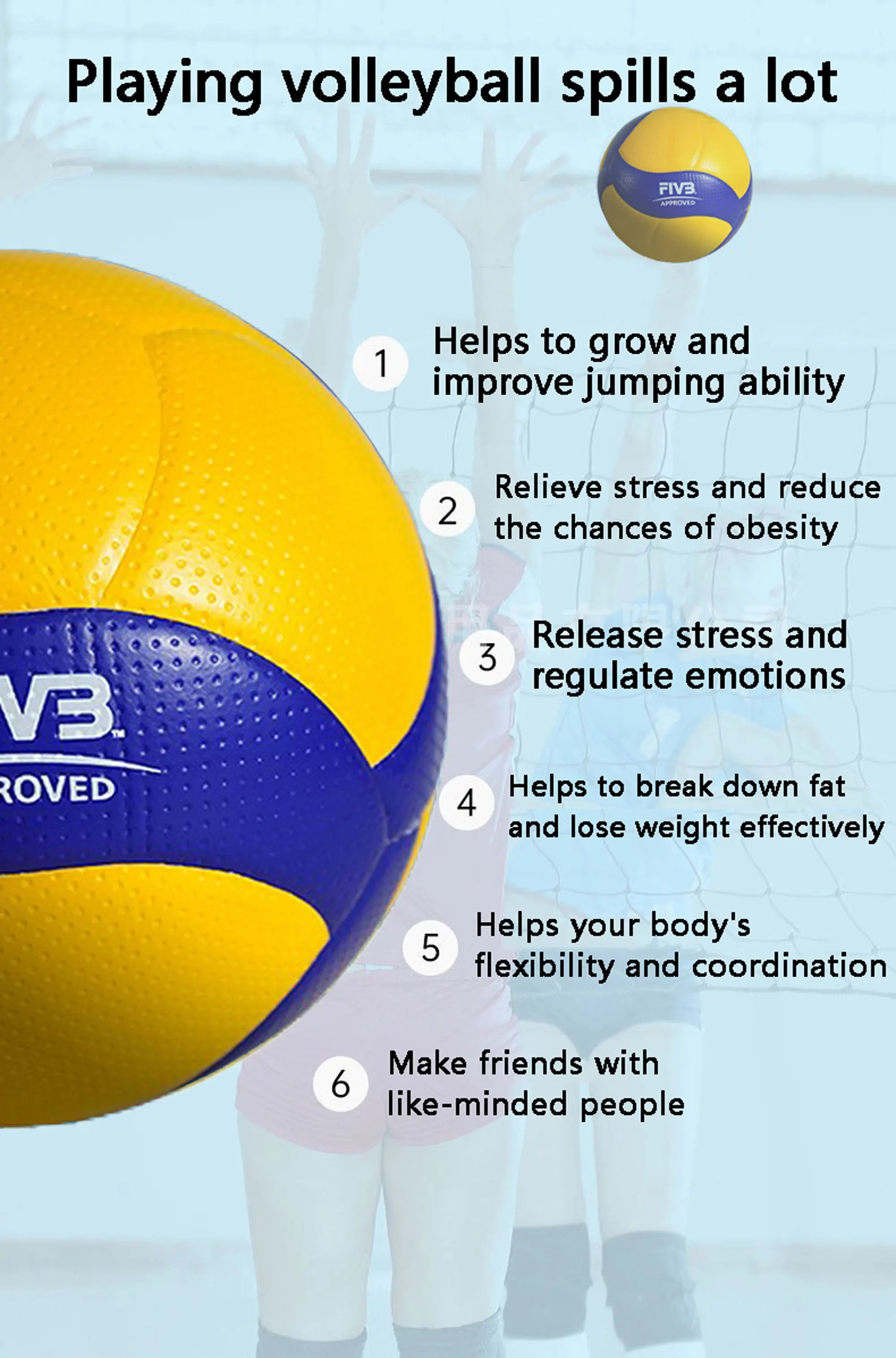 New Model Professional Volleyball