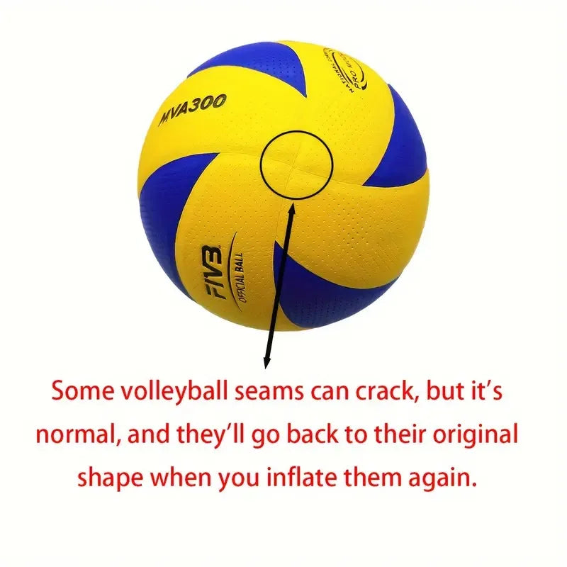 New Model Professional Volleyball