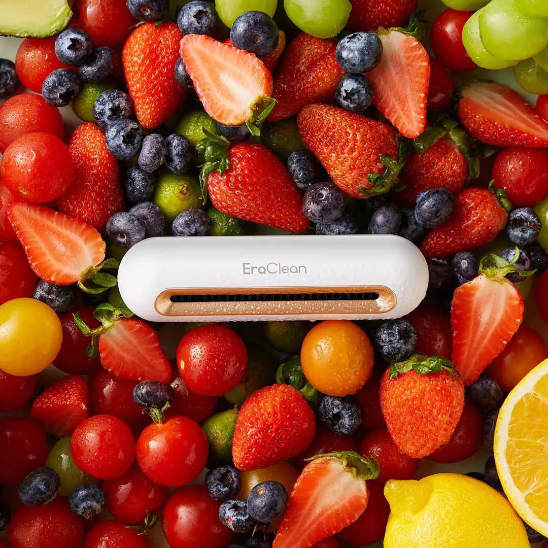 Refrigerator Deodorizing & Sterilizing Ozone Purifier