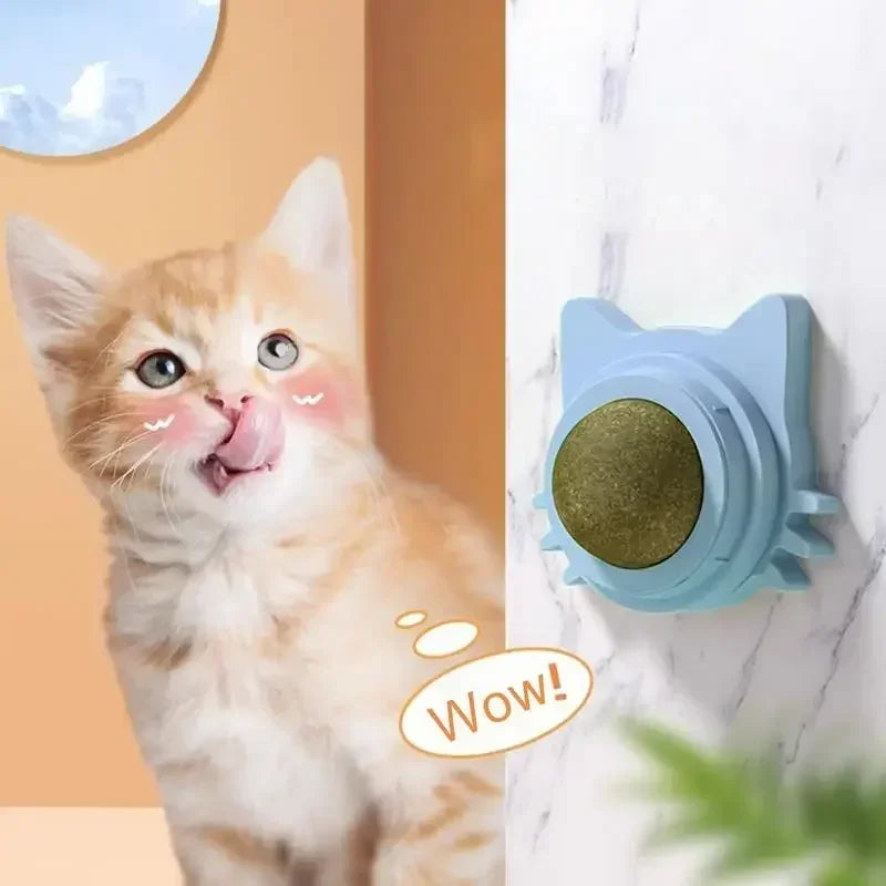 Catnip Wall Balls