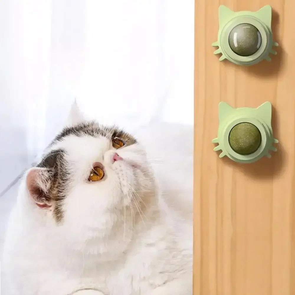 Catnip Wall Balls