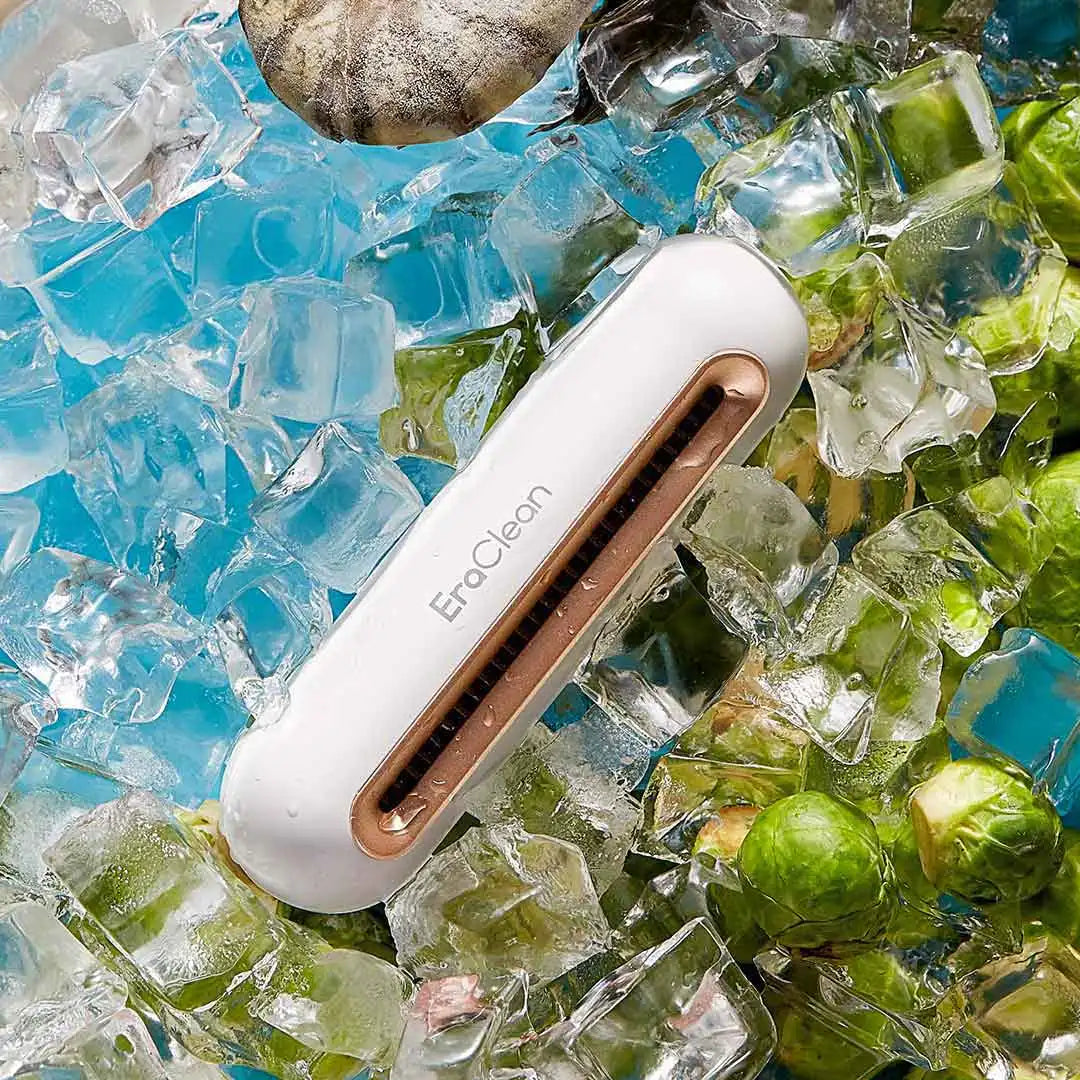 Refrigerator Deodorizing & Sterilizing Ozone Purifier