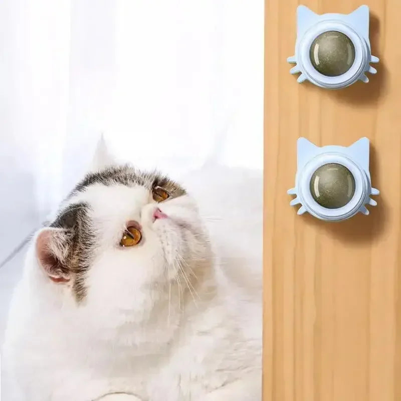 Catnip Wall Balls