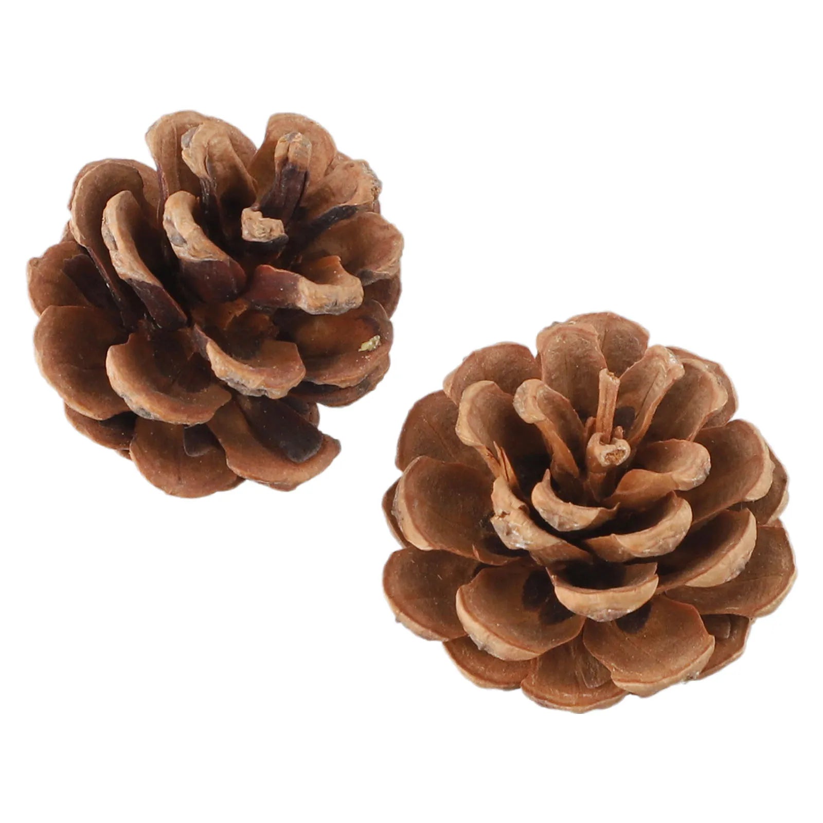 50Pcs Artificial Pumpkin Autumn Winter Fall Wreath Simulate Plastic Fake Fruits Acorns Pine Cones For Home Party DIY Decorations