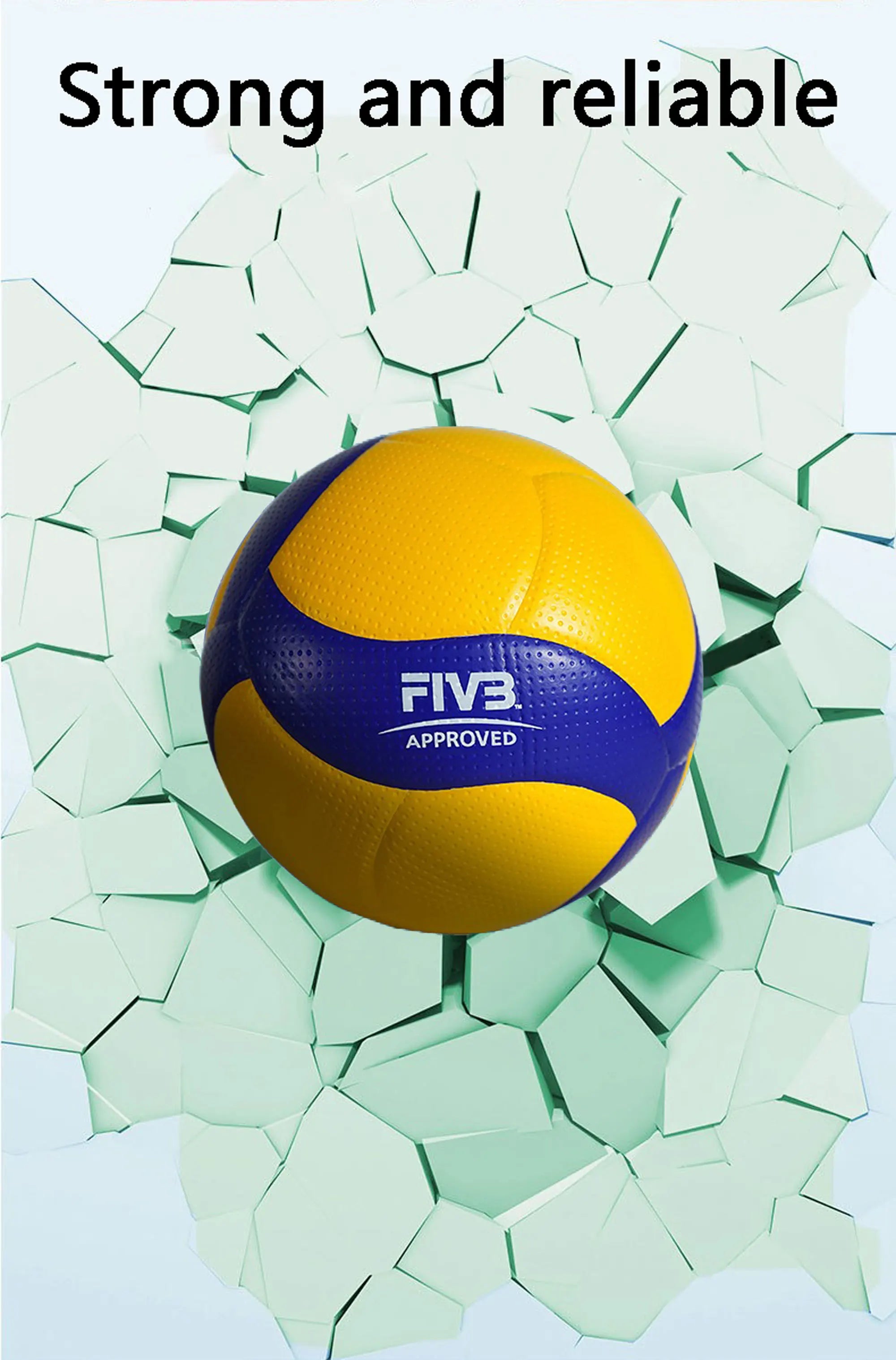 New Model Professional Volleyball