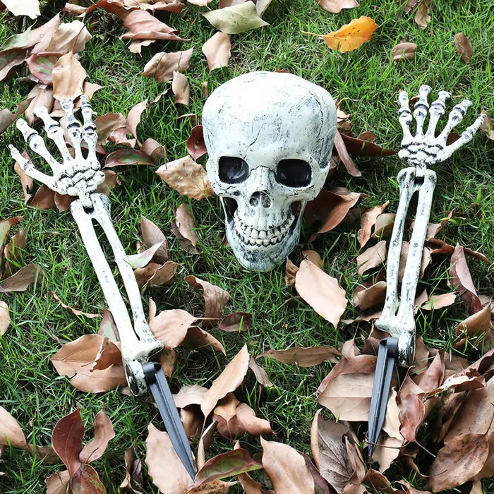 Halloween Decorative Skulls